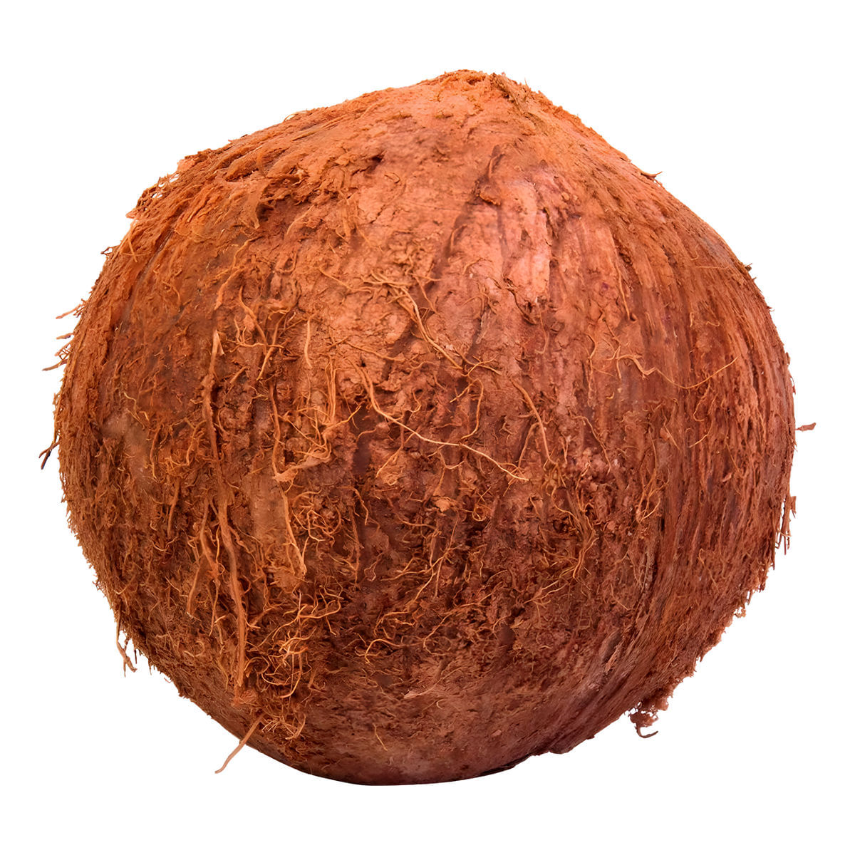 Coco Seco Kg