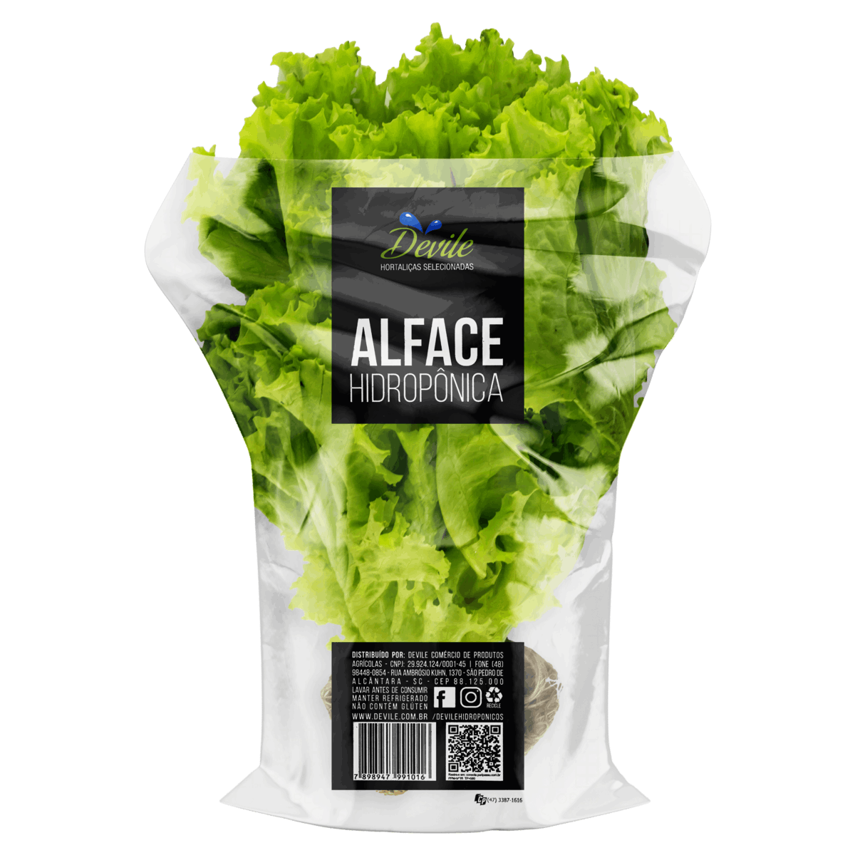Alface Hidropônica Devile