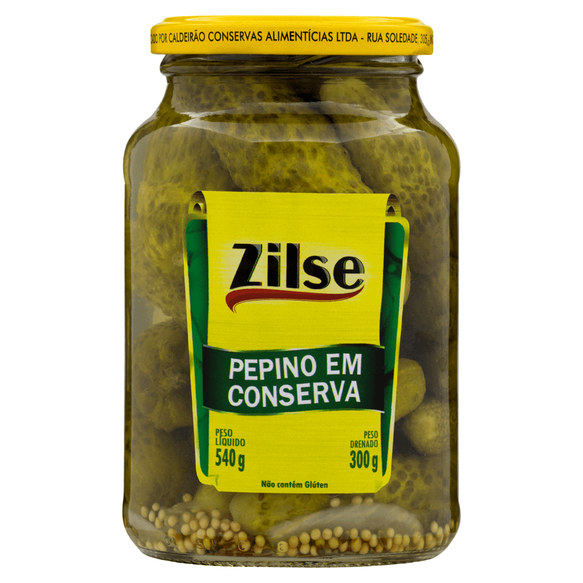 Pepino em Conserva Zilse Vidro 300g